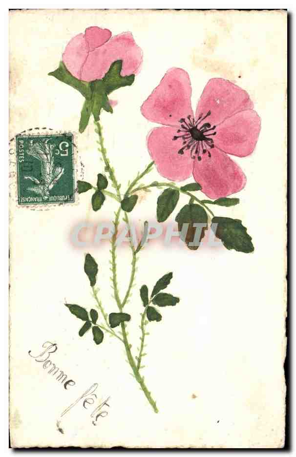 Fleur de rose — illustration à l'aquarelle — éditeur inconnu