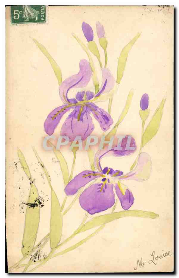 Iris — dessin à l'aquarelle — éditeur inconnu, n° de série non visible - Anverso