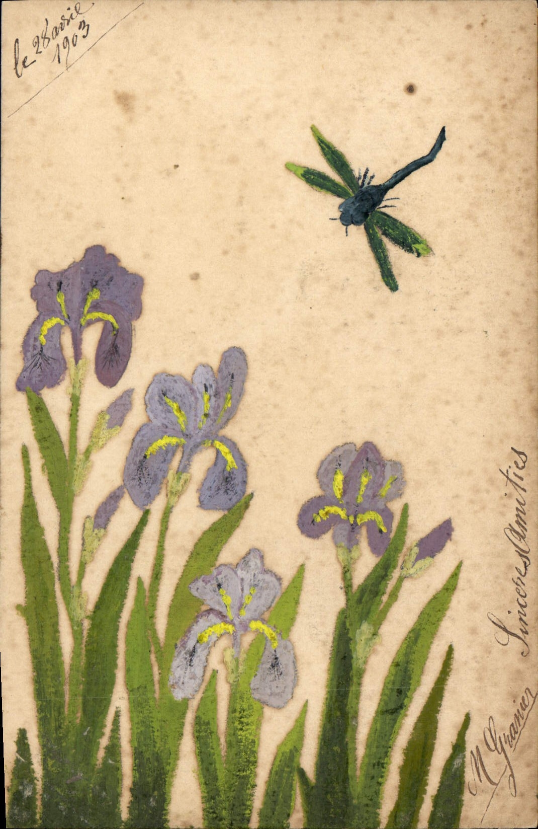 Iris et libellule — dessin à l'huile — M. Gagean