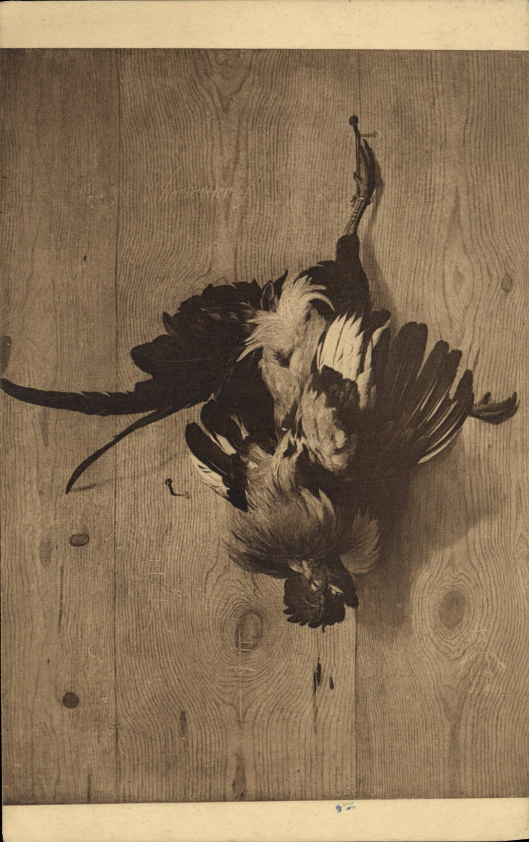 CPA Coq d'Hondecoeter Le coq mort Musee de Bruxelles 