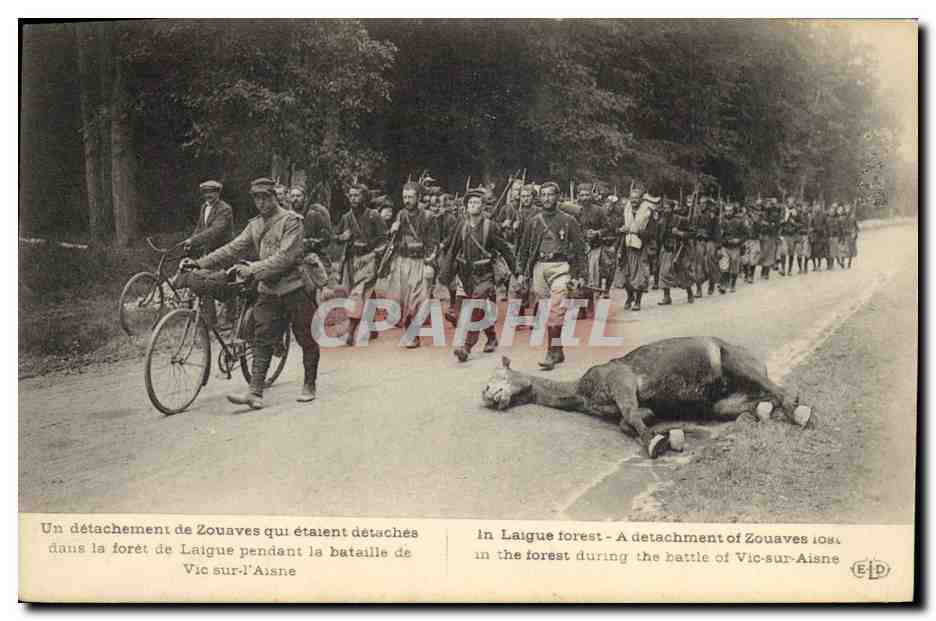 CPA Militaria Un detachement de Zouaves Foret de Laigne Bataille de Vic sur l'Aisne