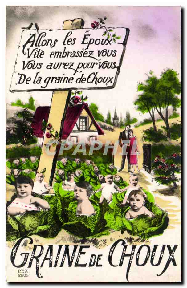 CPA Fantaisie Enfants Graine de choux