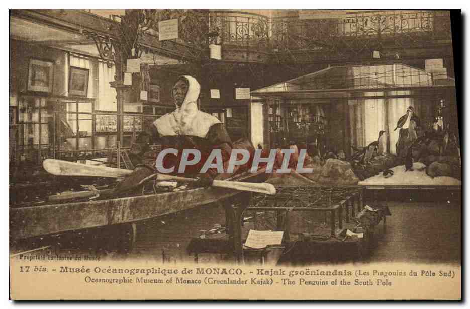 CPA Polaire Musee oceanographique de Monaco Kajak groenlandais Les pingouins du Pole Sud