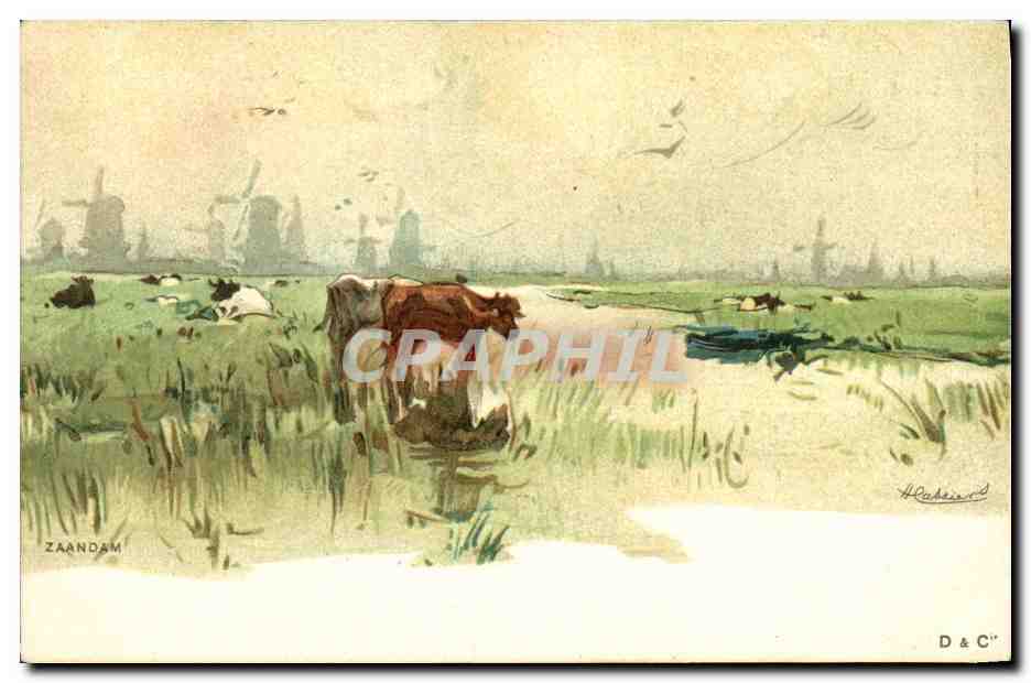 CPA Fantaisie Illustrateur Zaandam Vaches