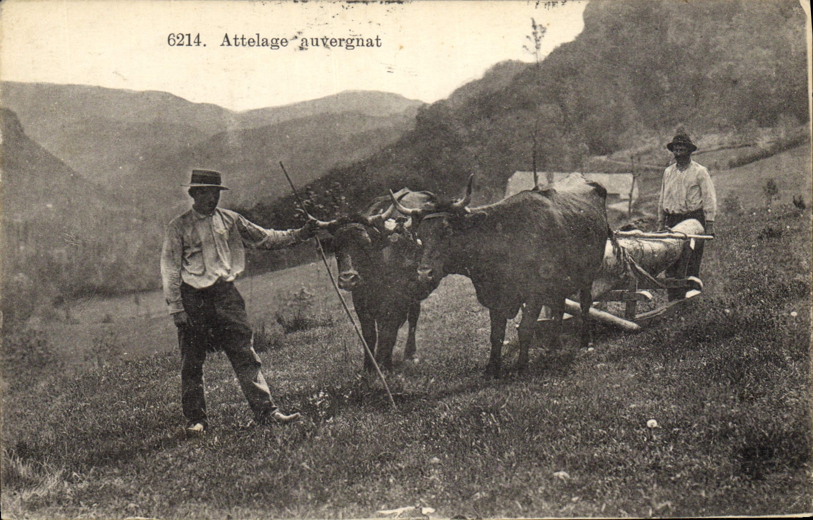 Attelage auvergnat — 6214 — éditeur non identifié