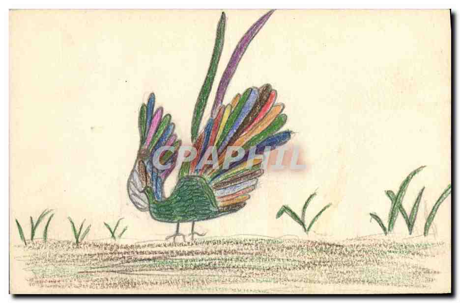 CPA (dessin la main) Oiseau