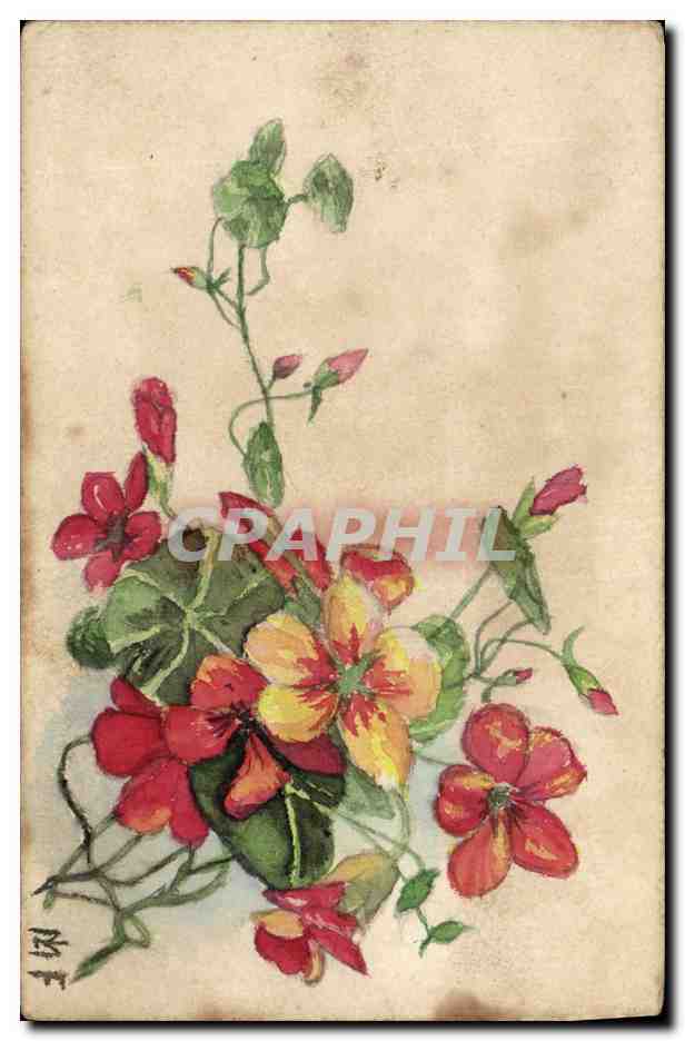 CPA (dessin la main) Fleurs