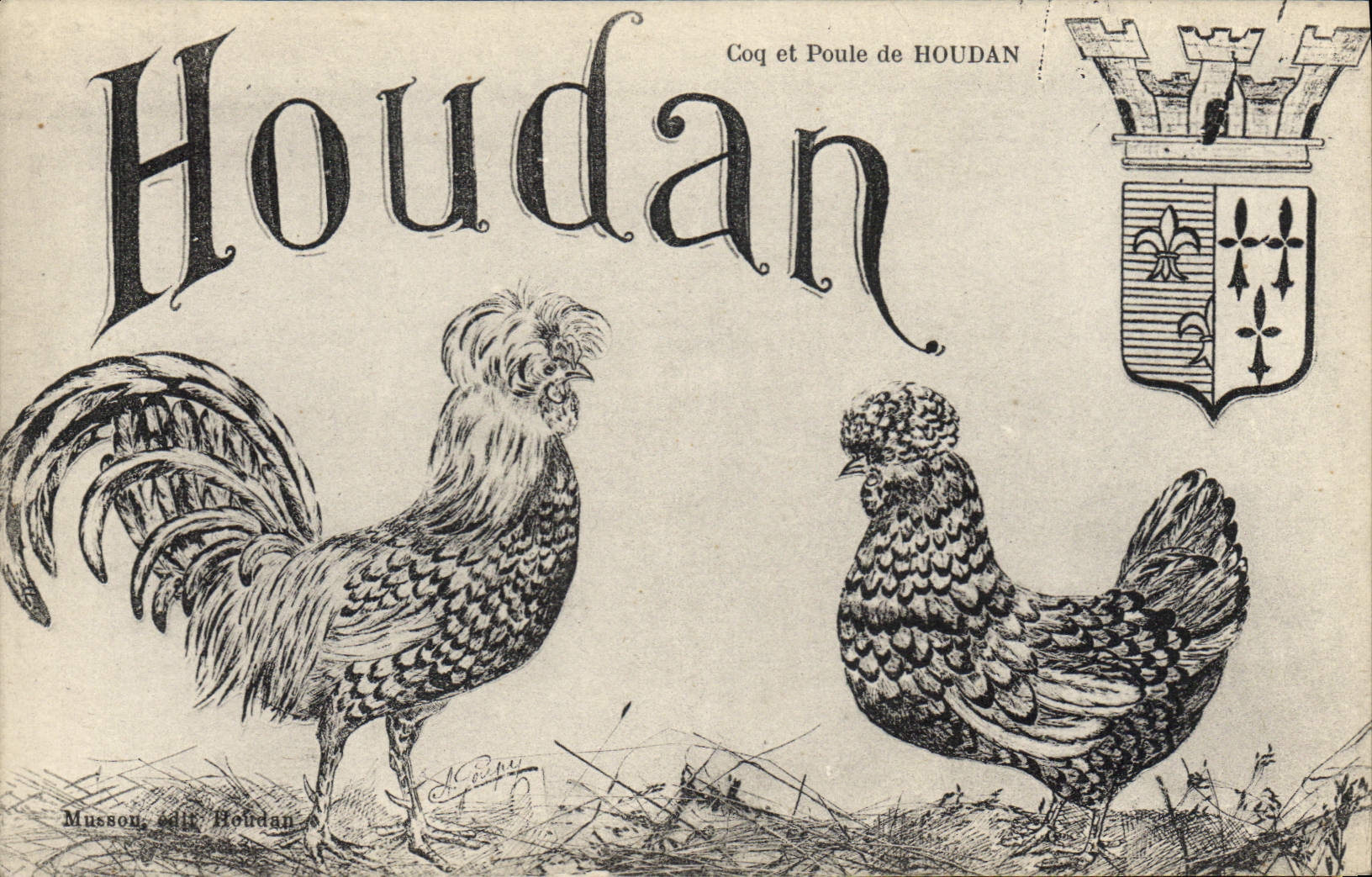 Coq et Poule de Houdan — Musson, édit. Houdan
