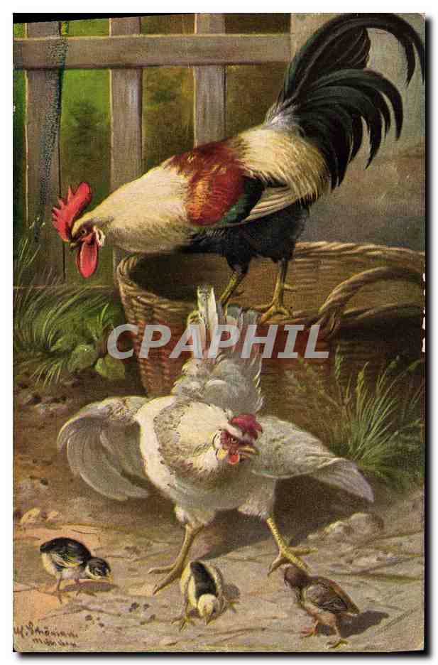 Poules et poussins dans un enclos — série 1991 (6 Dess.) — T.S.N.