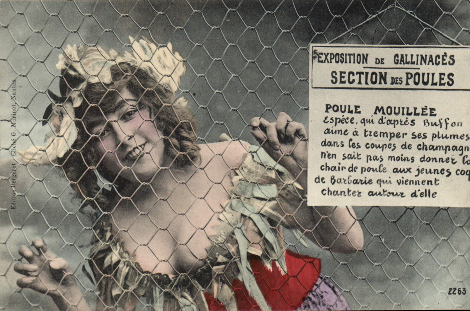 Exposition de Gallinacés - Section des Poules — Poule Mouillée — Édition Bergévet, Dick & Monnet, Nancy