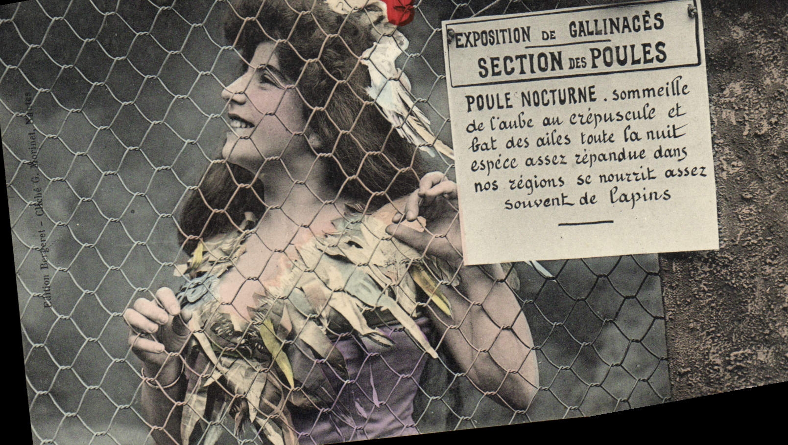 Exposition de Gallinacés - Section des Poules — Édition Bergeret - Ciklut & Montinal, série A