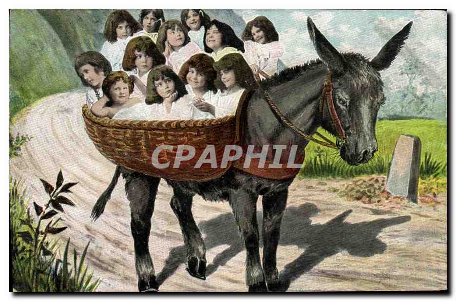 CPA Fantaisie Enfants Bebes Ane Mule
