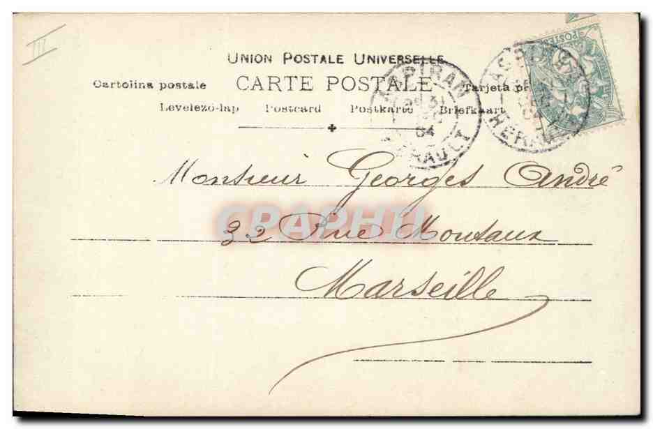Jeune femme — portrait avec chrysanthème — éditeur S.I.P. n° 1013 — Reverso
