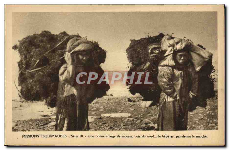 CPA Polaire Missions esquimaudes Une bonne charge de mousse bois du Nord