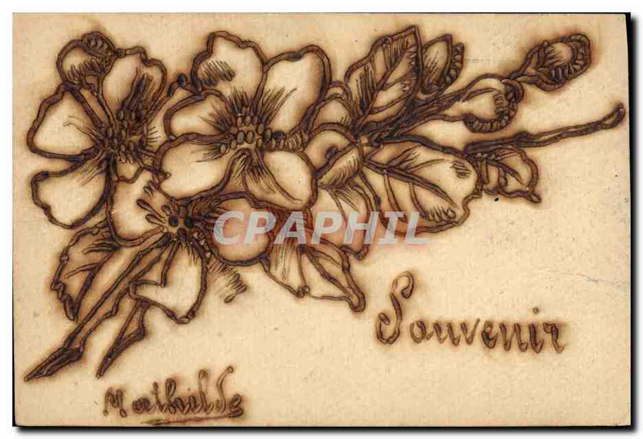 Fleurs — Souvenir — Mathilde