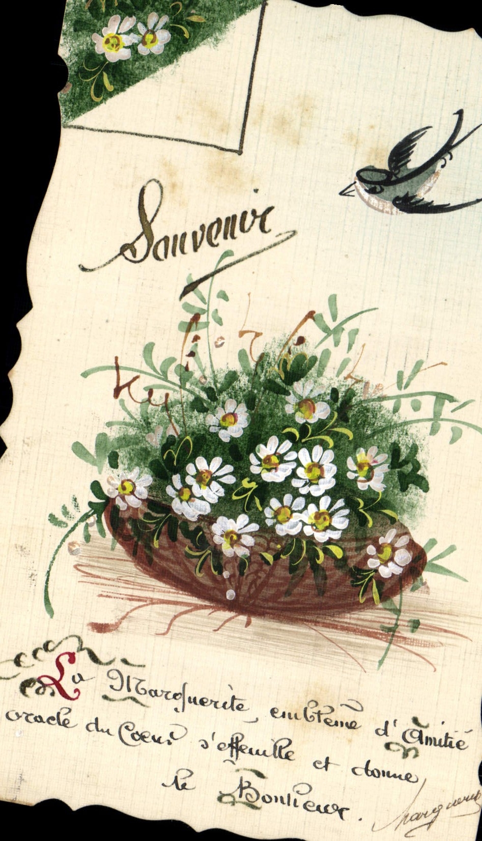 Bouquet de marguerites — souvenir d'amitié — Marguerite Bonlieur