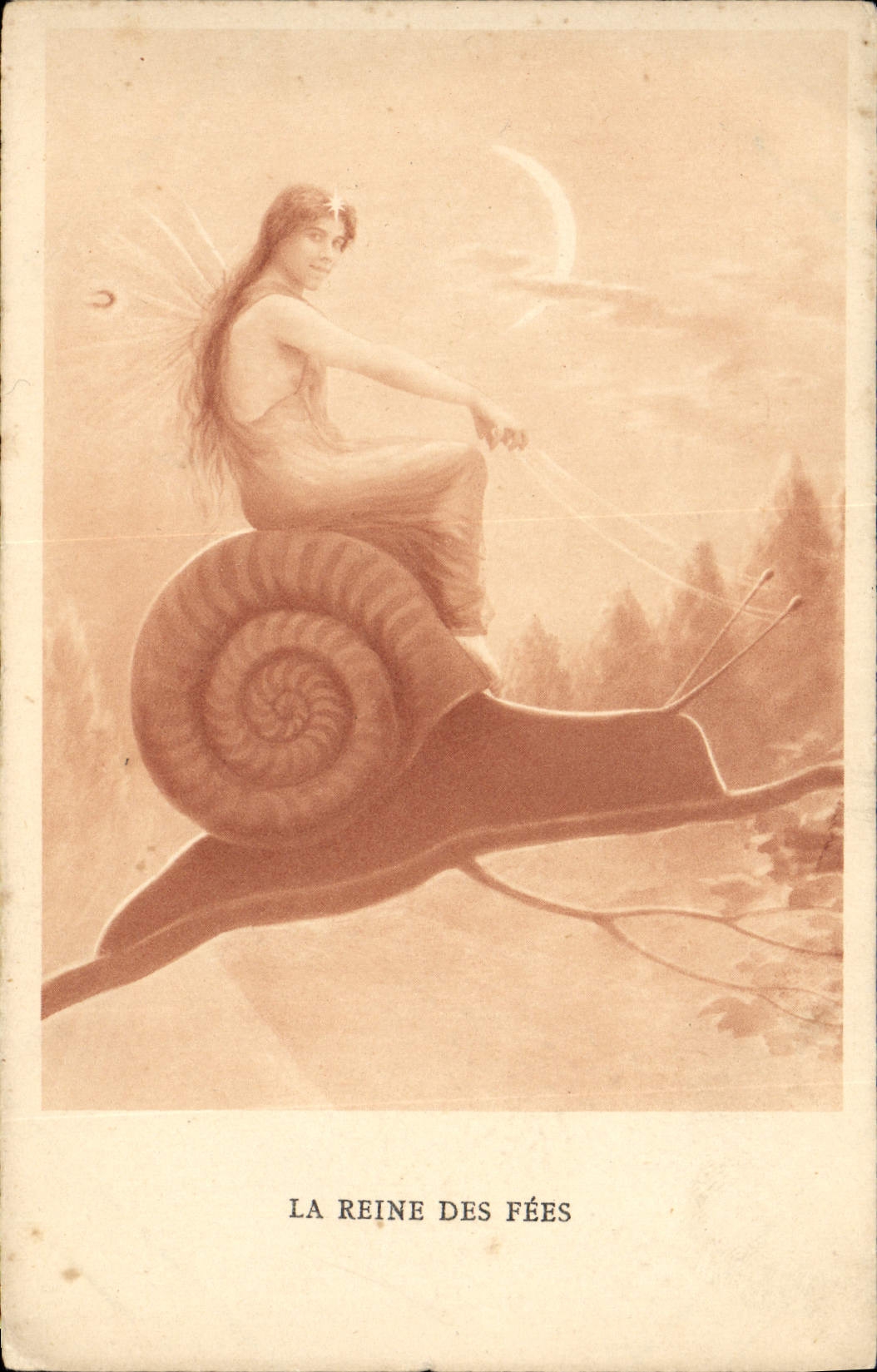 CPA Escargot la reine des fees