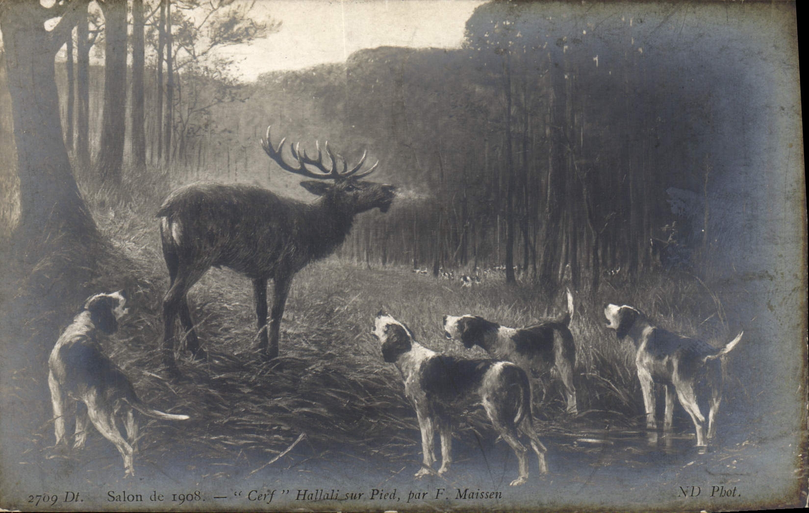 Cerf Hallali-sur-Pied — Salon de 1908 — par F. Maissen