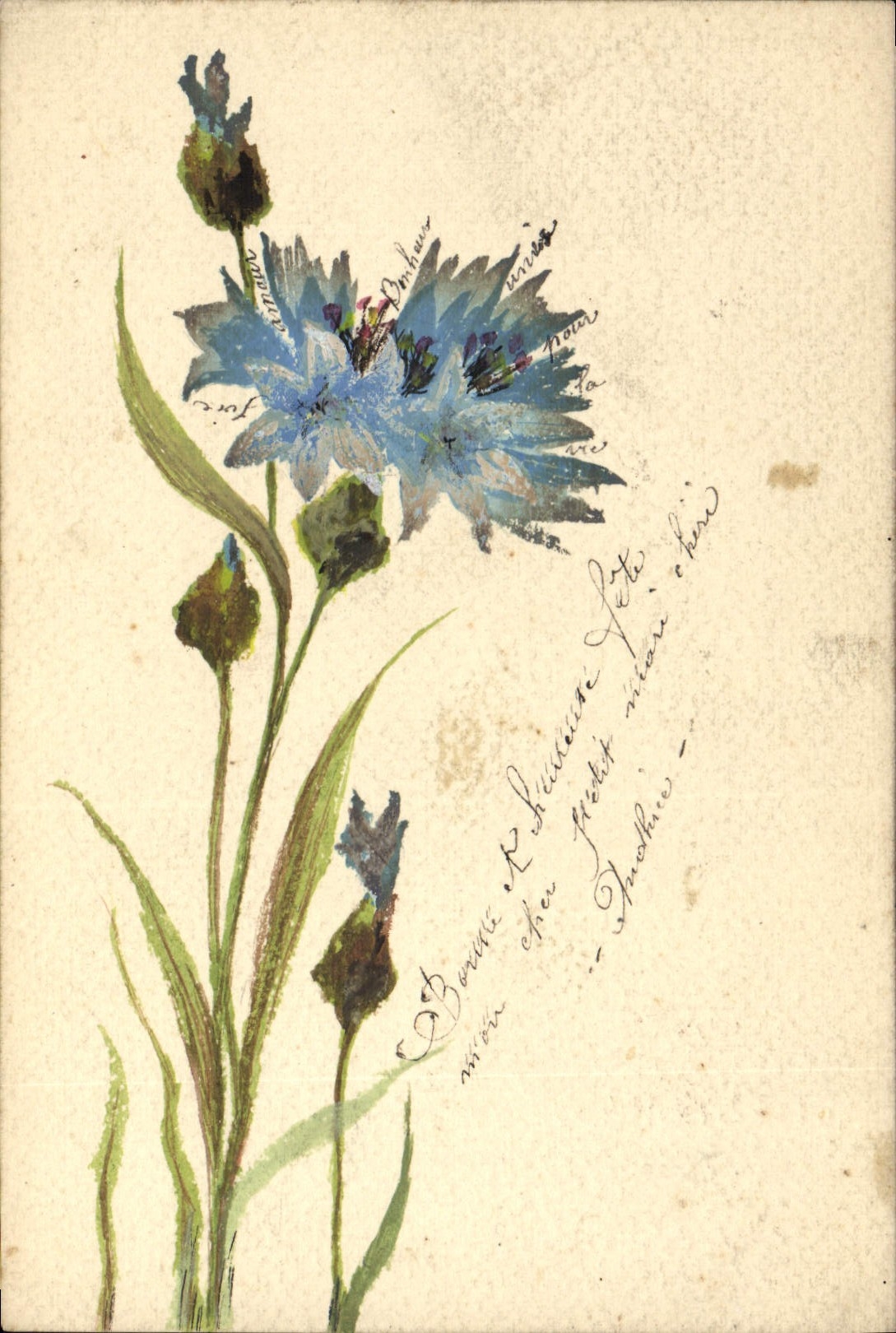 Fleur bleue — dessin à l'aquarelle — éditeur inconnu