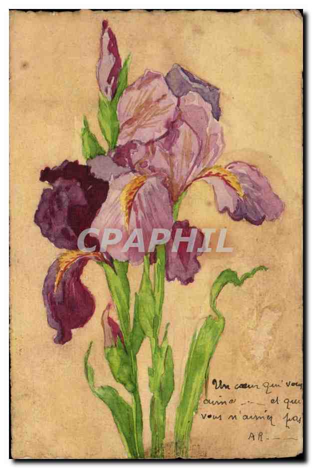 CPA Fantaisie (dessin a la main) Fleurs