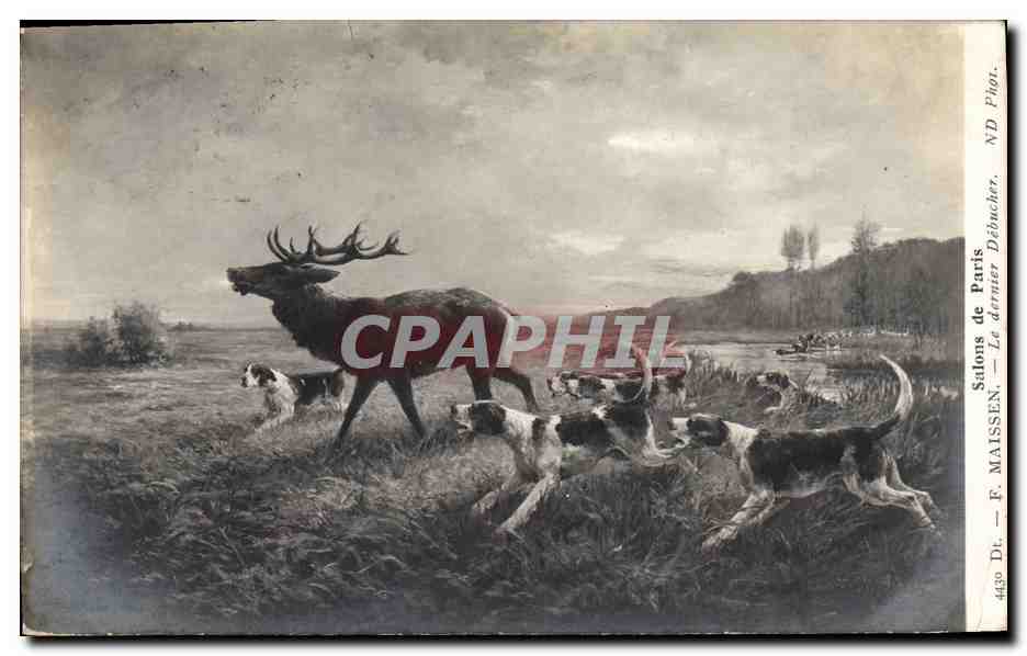 Chasse au cerf — chiens de chasse — F. MAISSEN — Salons de Paris, n° 4430