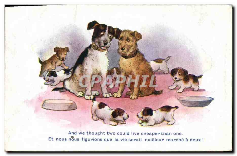 Chiens et chiots — Deux pour un — Comique Series, n° 2898, éditeur Tinter-Art Co.