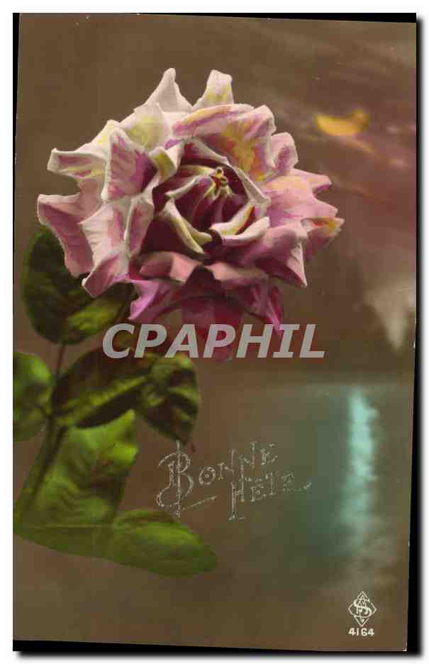 CPA Fantaisie Lune Fleurs Rose