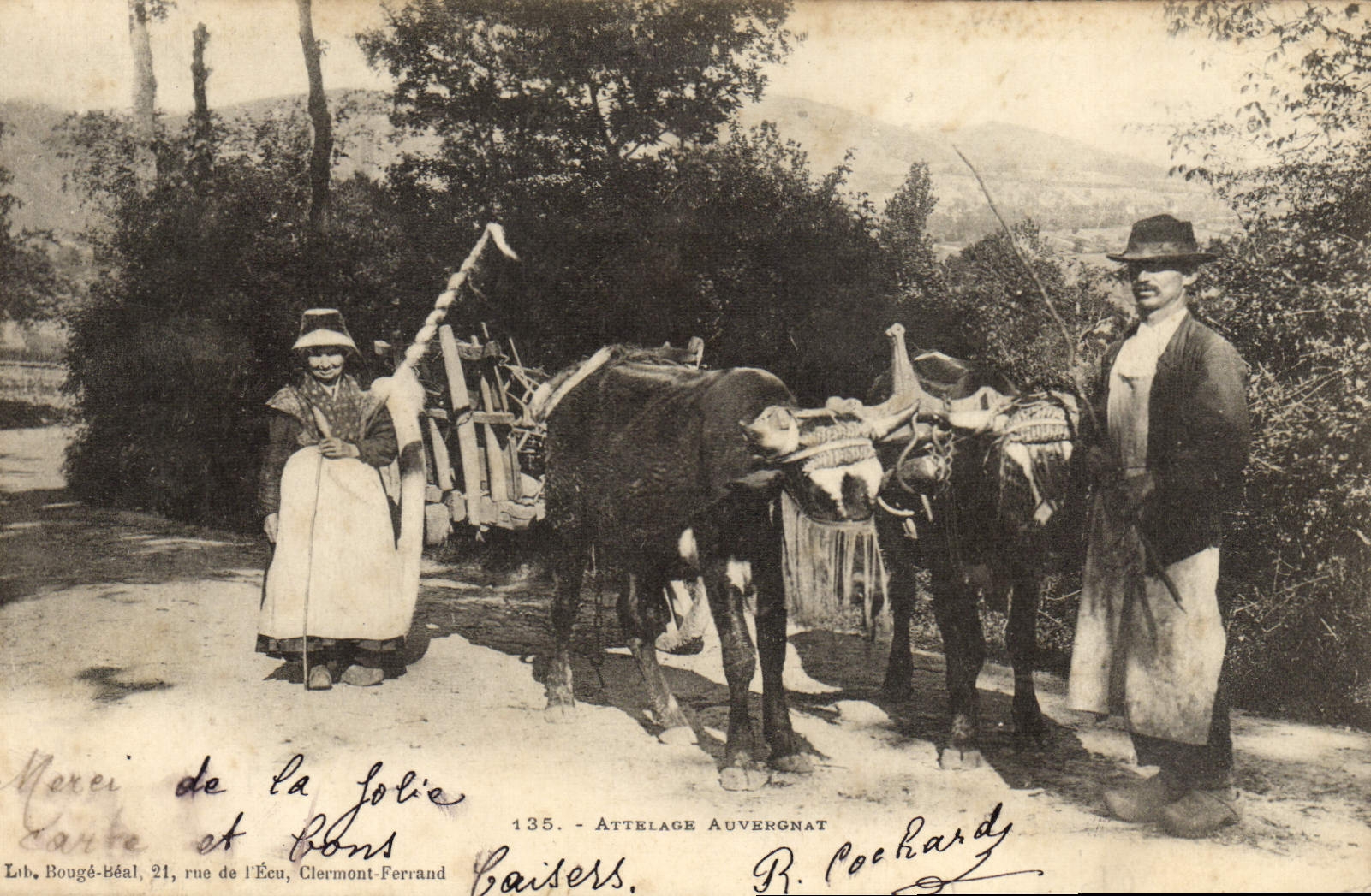 CPA Folklore Auvergne Attelage Auvergnat