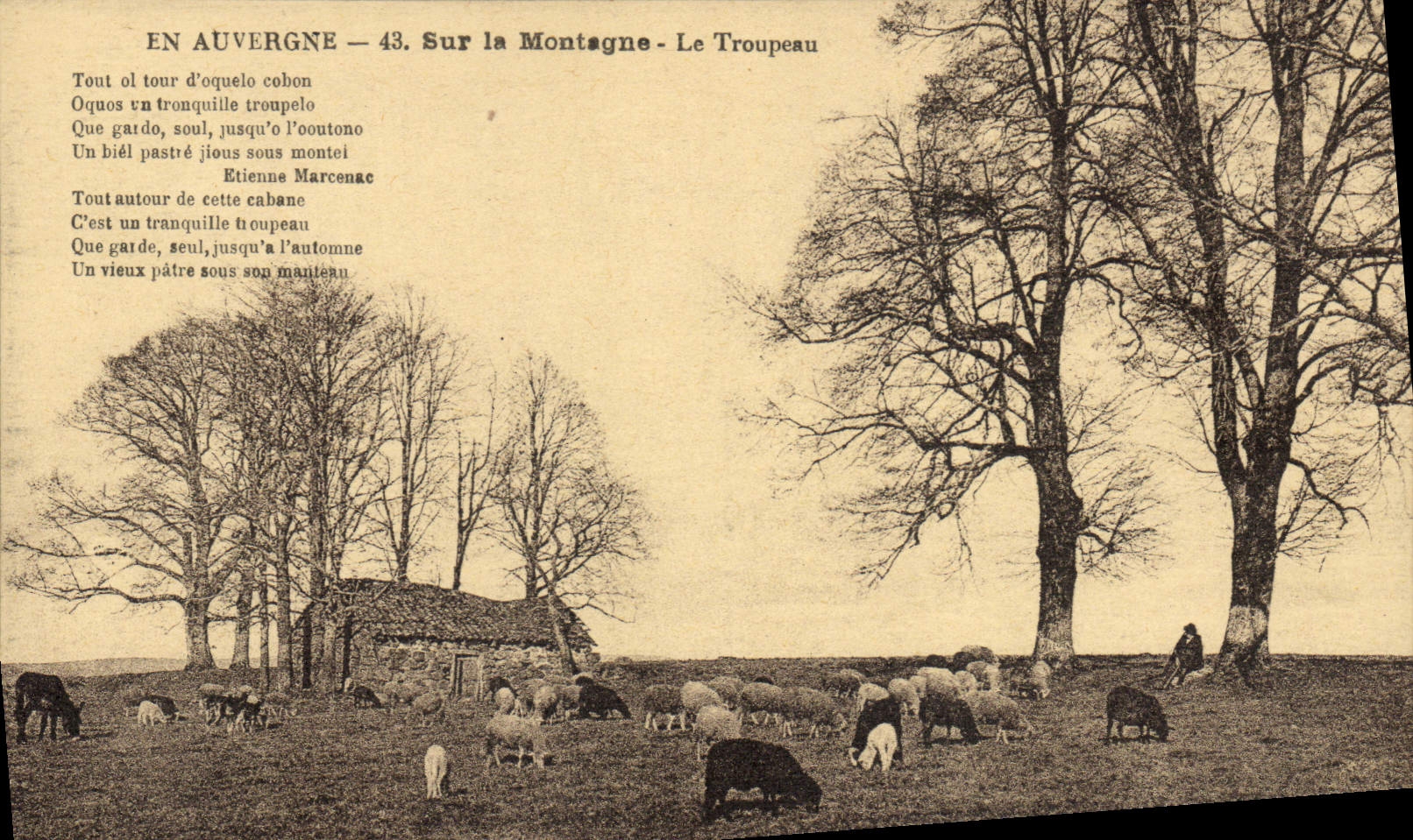 CPA Folklore Auvergne sur la montagne Le troupeau Moutons