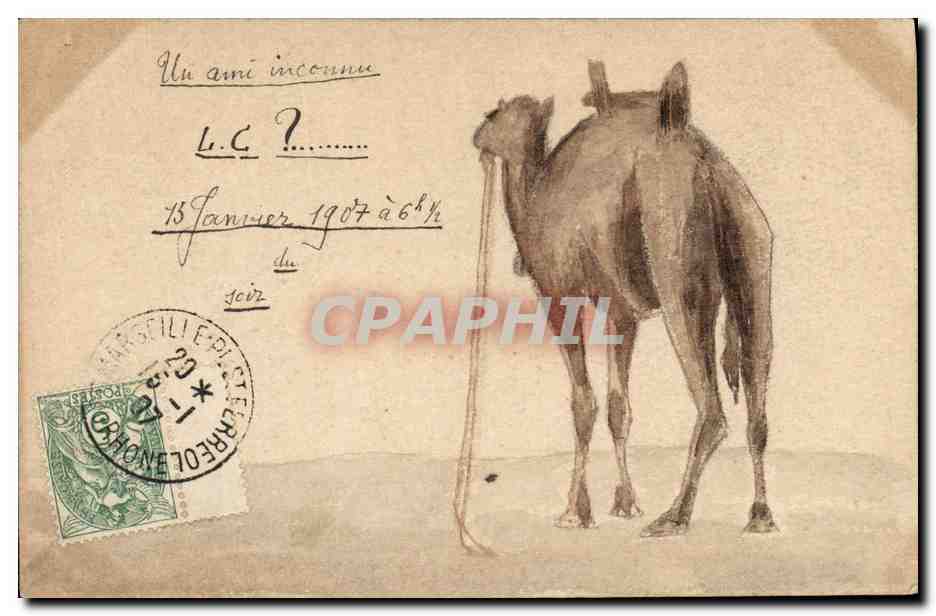 Drawing of a camel — Publisher unknown, series number not visible