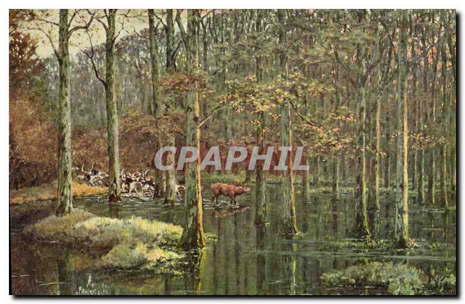 Forêt de Fontainebleau — Mare à Benauge — P. Taver nier, n°1012
