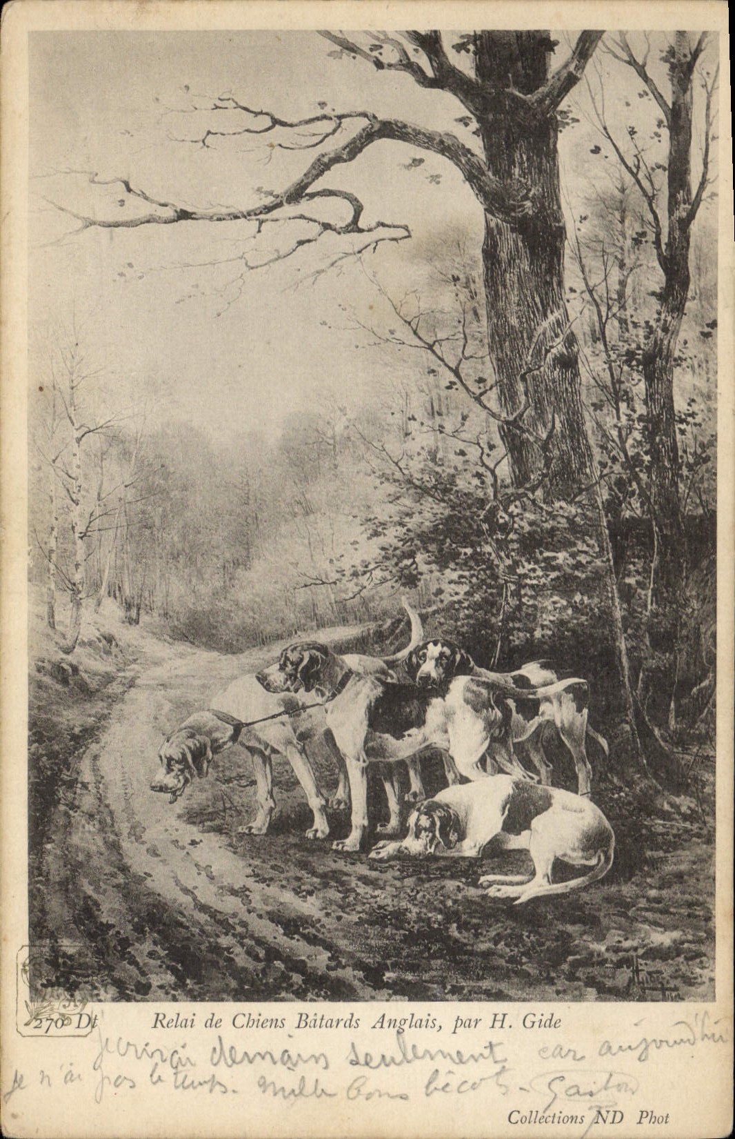 Chiens Bâtards Anglais — Relais de chiens de chasse — par H. Gide, Collections ND Phot