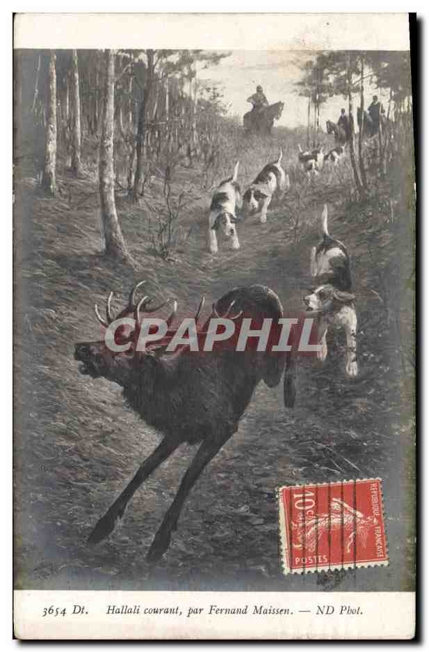 Hallali courant — par Fernand Maissen — ND Phot.