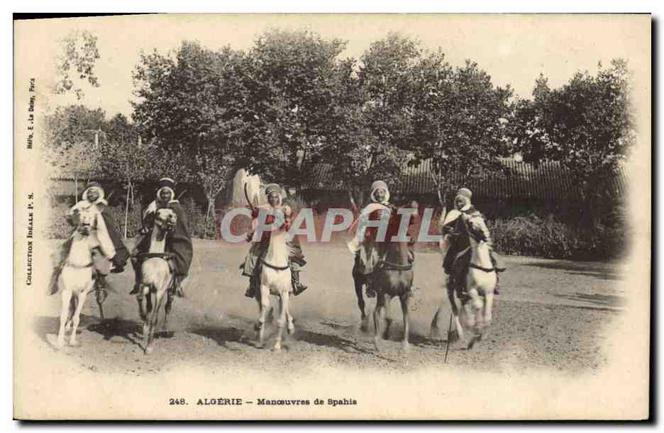 CPA Militaria Algerie Manoeuvres de Spahis 