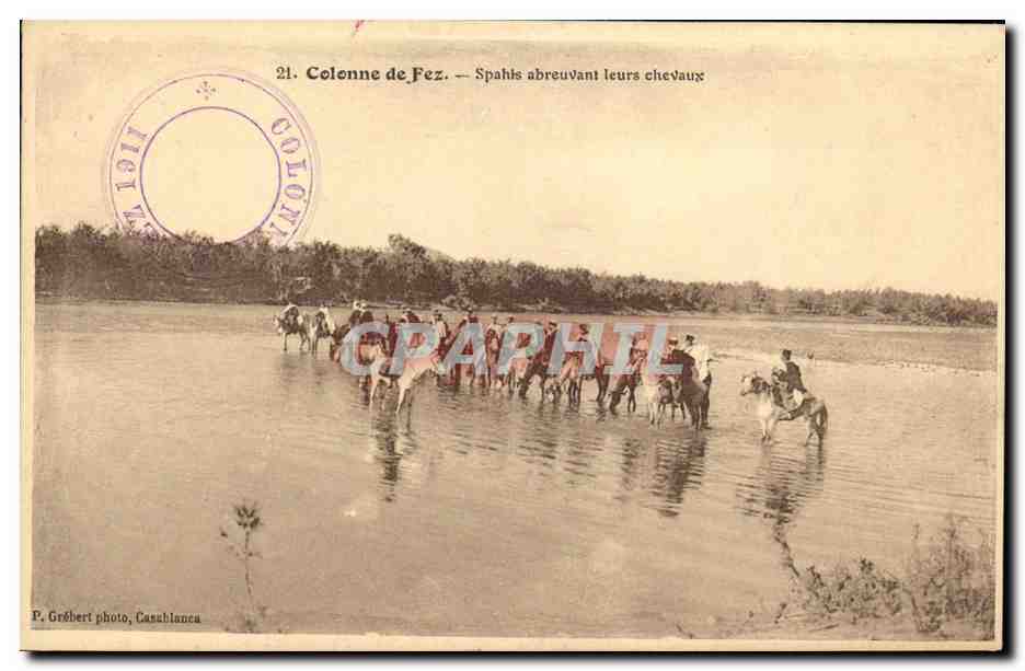Colonne de Fès — Spahis abreuvant leurs chevaux — P. Grébert photo, Casablanca