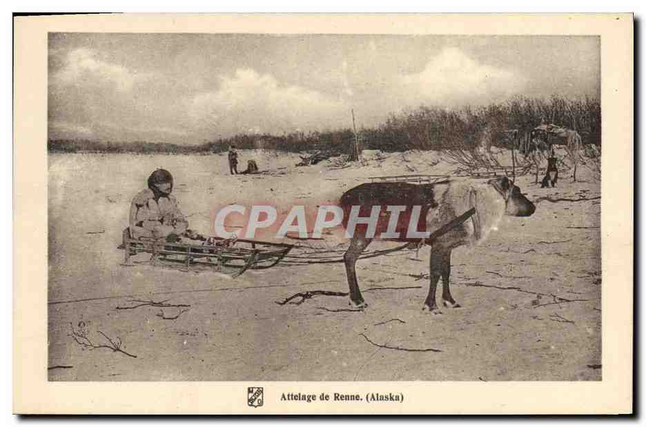 CPA Polaire Attelage de renne Alaska