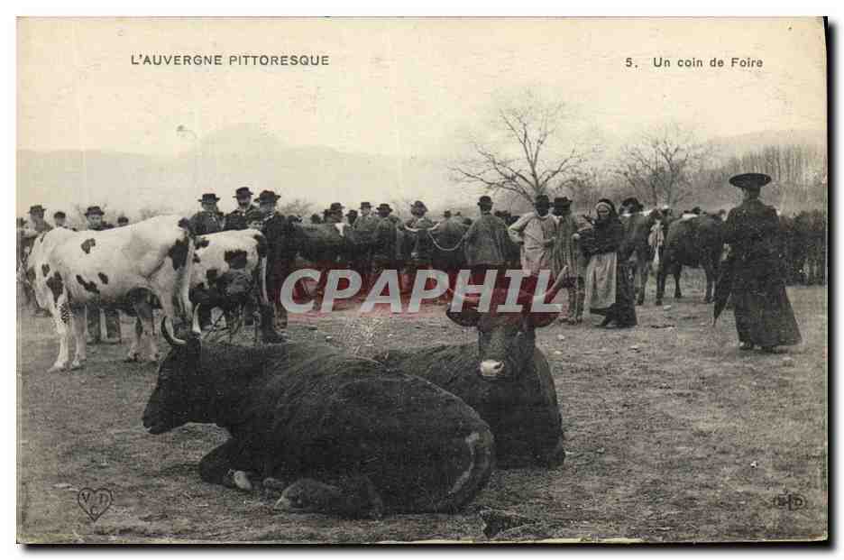 CPA Folklore Auvergne Un coin de foire Vaches TOP