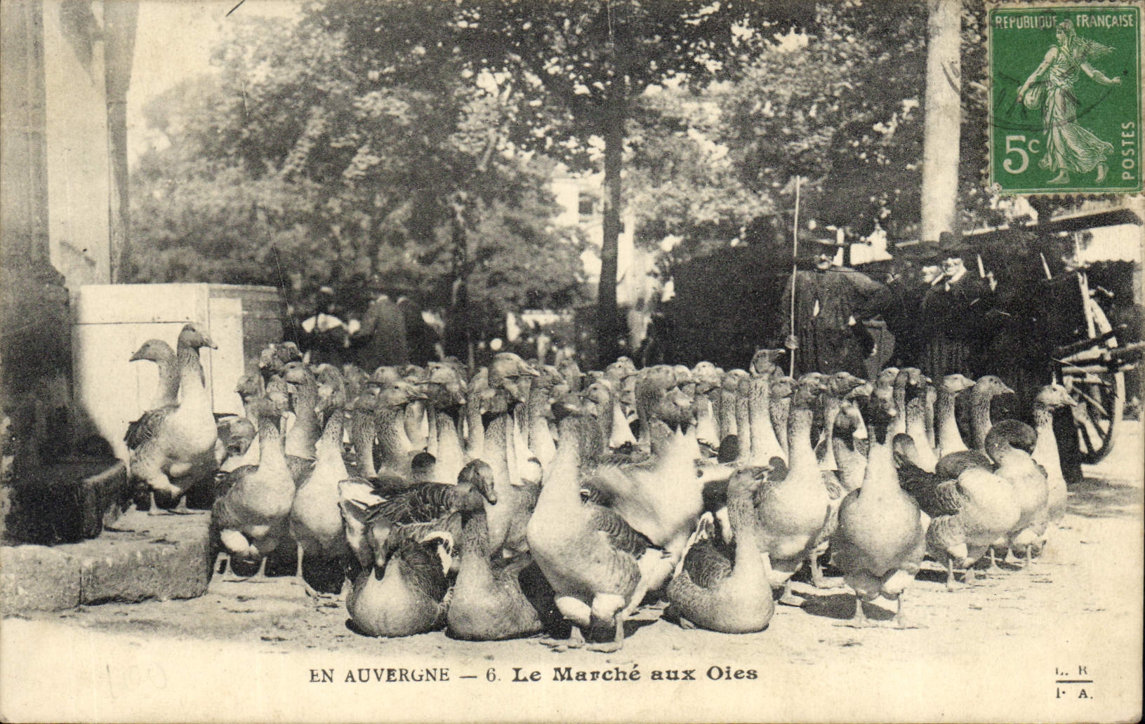 CPA Folklore Auvergne Le marche aux oies