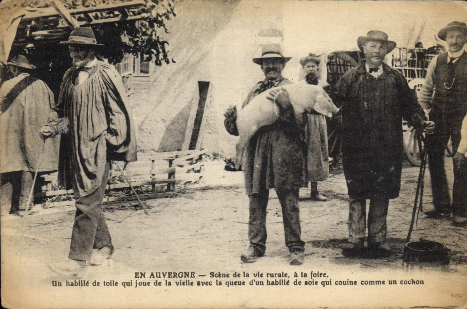 CPA Folklore Auvergne Scene de la vie rurale a la foire Cochon Porc 