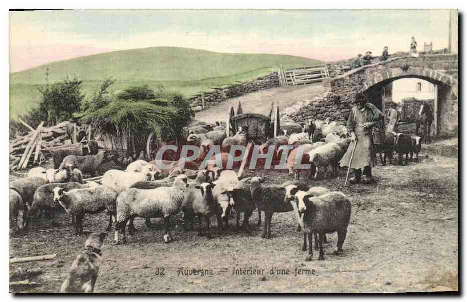 CPA Folklore Auvergne Interieur d'une ferme Moutons