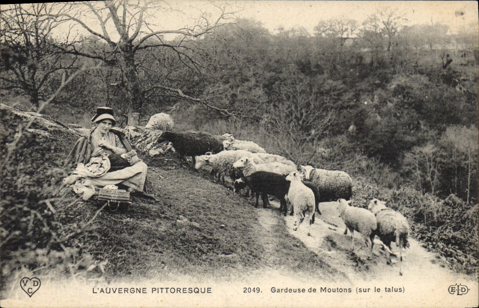 CPA Folklore Auvergne Gardeuse de moutons sur le talus