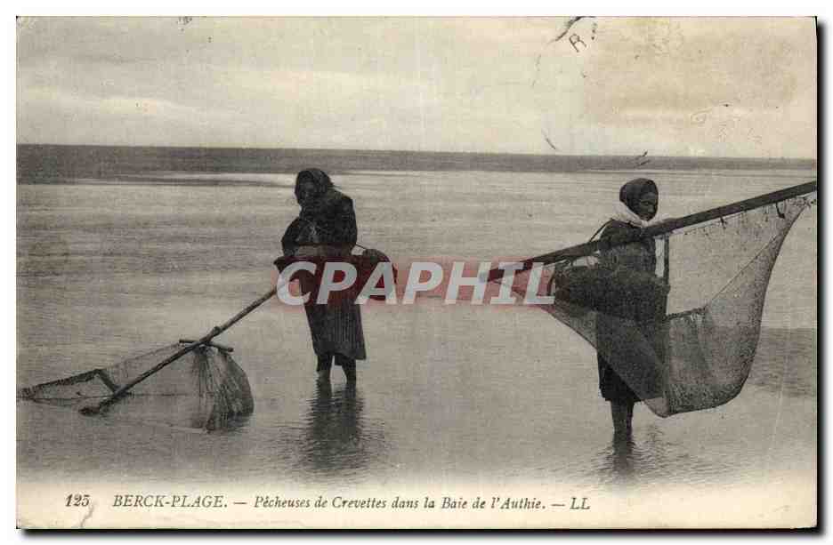 CPA Peche Berck Plage Pecheuses de crevettes dans la baie de l'Authie