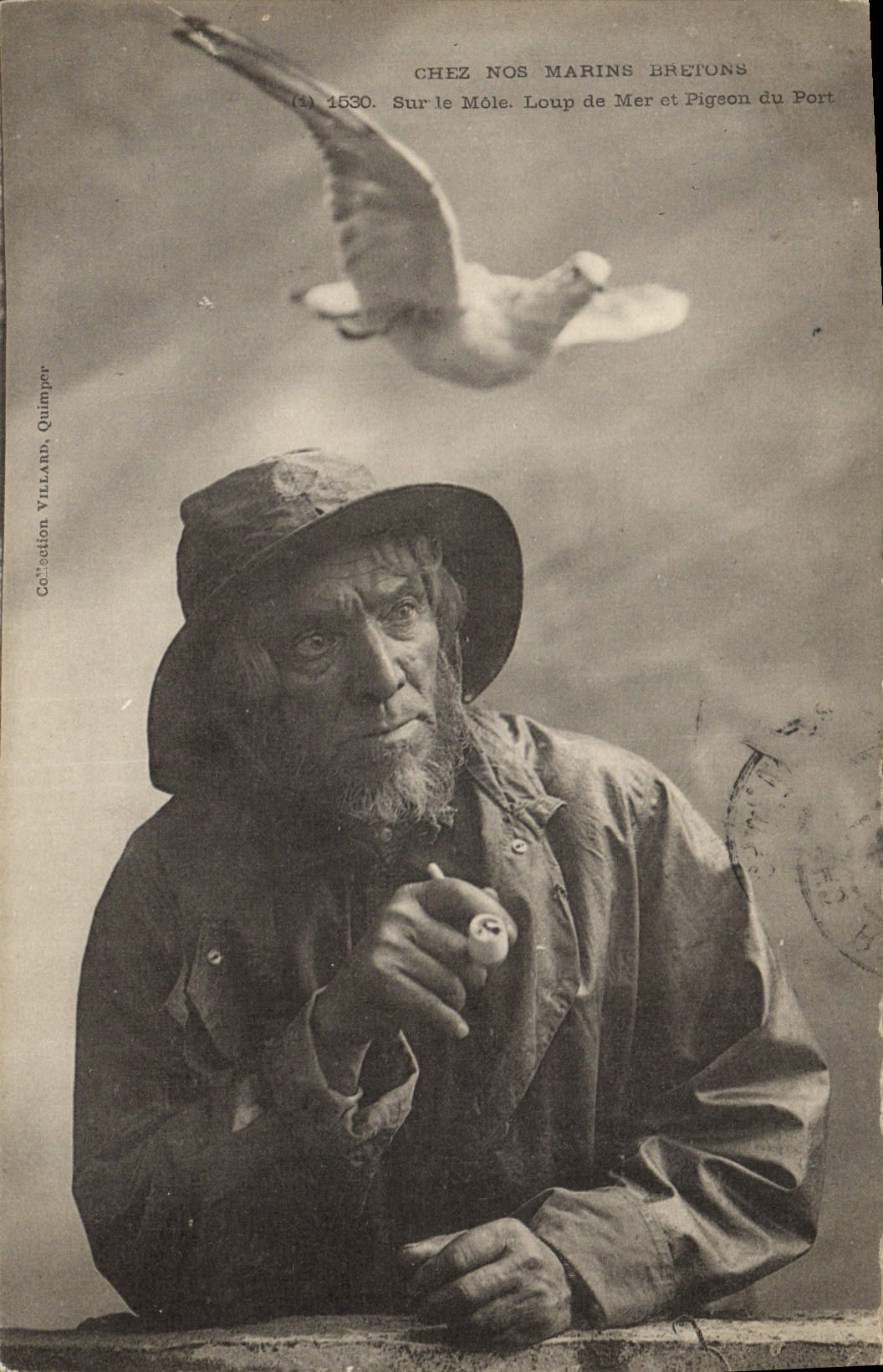 Chez nos marins bretons — Sur le Môle. Loup de Mer et Pigeon du Port — Collection Villard, Quimper, n°1530