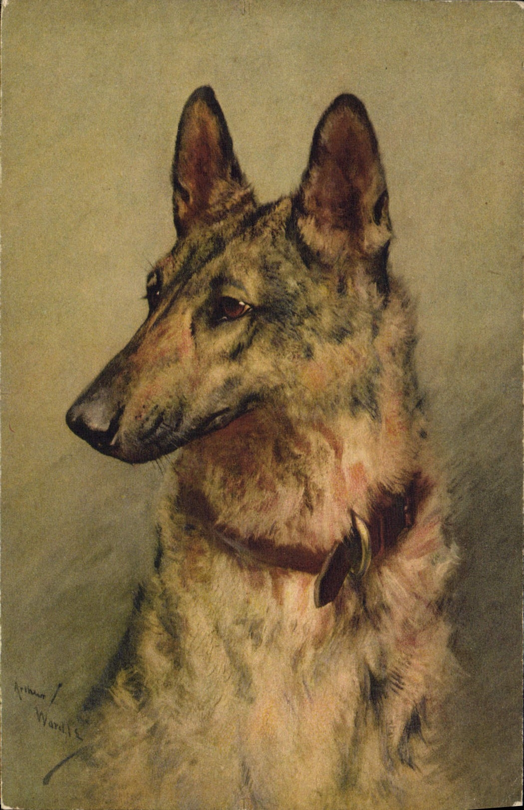 Portrait d'un chien — œuvre de Primus Wardill — série No. 110