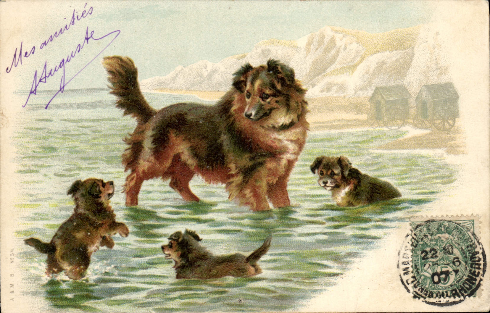 Chiens dans l'eau — A&B M. N°54 — A&B M. N°54 - Anverso
