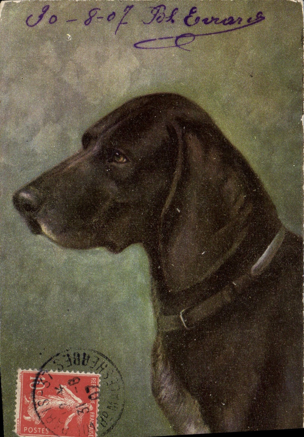 Chien de chasse — portrait — éditeur non visible