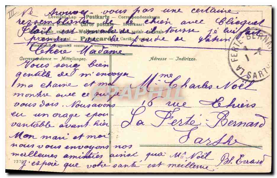 Chien de chasse — portrait — éditeur non visible — Verso