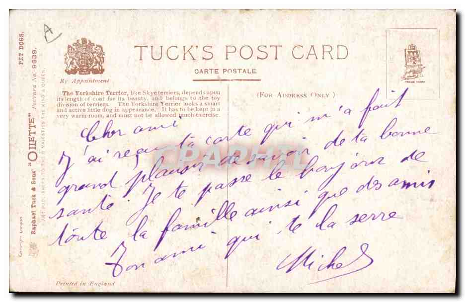 Yorkshire Terrier — avec pomme — Tuck's Post Card n° 9839 — Verso