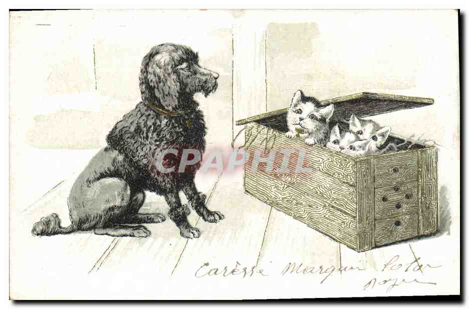 Chien et chatons — illustration — Marguerite Potan, n° 107 - Anverso