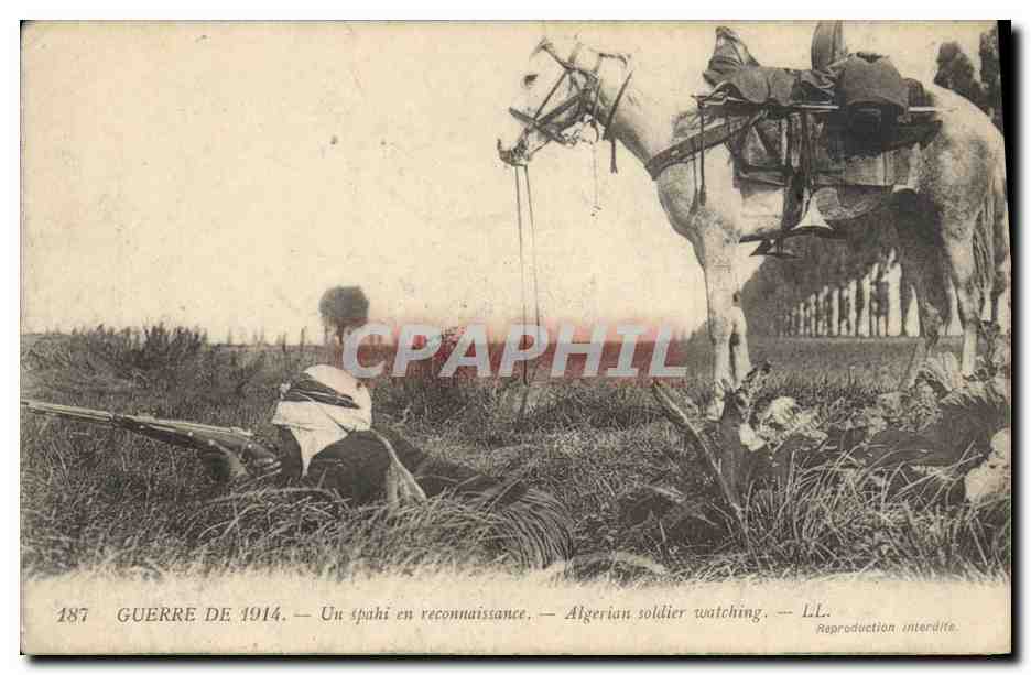 Un spahi en reconnaissance — Guerre de 1914 — LL. n° 187